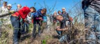 GC Würzburg – golfen in Einklang mit der Natur