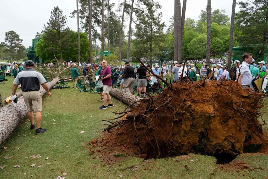 Zwei Bäume wurden am Freitag des 87. Masters im Augusta National in der Nähe des 17. Abschlags von den Winböen entwurzelt - niemand wurde verletzt ... (Foto: picture-alliance)
