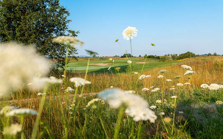Naturparadies Golf Valley Links Course: Zum wiederholten Mal die Auszeichnung Gold bei „Golf & Natur“